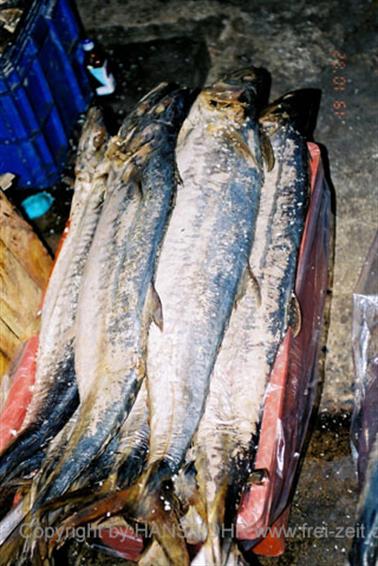 03 Thailand 2002 F1050027 Bangkok Trockenfische im Karton_478